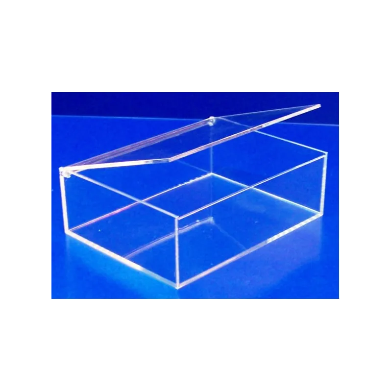 Boîte à couvercle pivotant - LG 248 x lg 188 x ht 88 mm