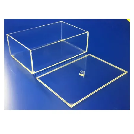 Boite plexi à couvercle posé - LG 300 x lg 200 x ht 90 mm