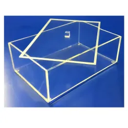 Boite plexi à couvercle posé - LG 300 x lg 200 x ht 90 mm