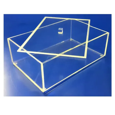 Boite plexi à couvercle posé - LG 300 x lg 200 x ht 90 mm