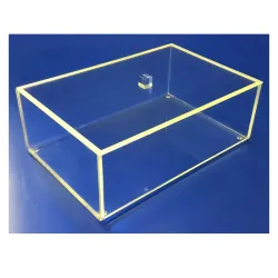 Boite plexi à couvercle posé - LG 300 x lg 200 x ht 90 mm