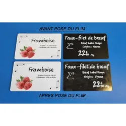100 Films protecteurs adhésifs overlays pour cartes plastiques
